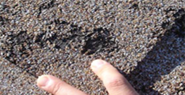 Emergency Roof Repair